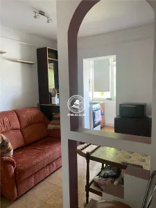 Apartament 1 camera zona Targu  Cucu - Profesor Paul - foto 8