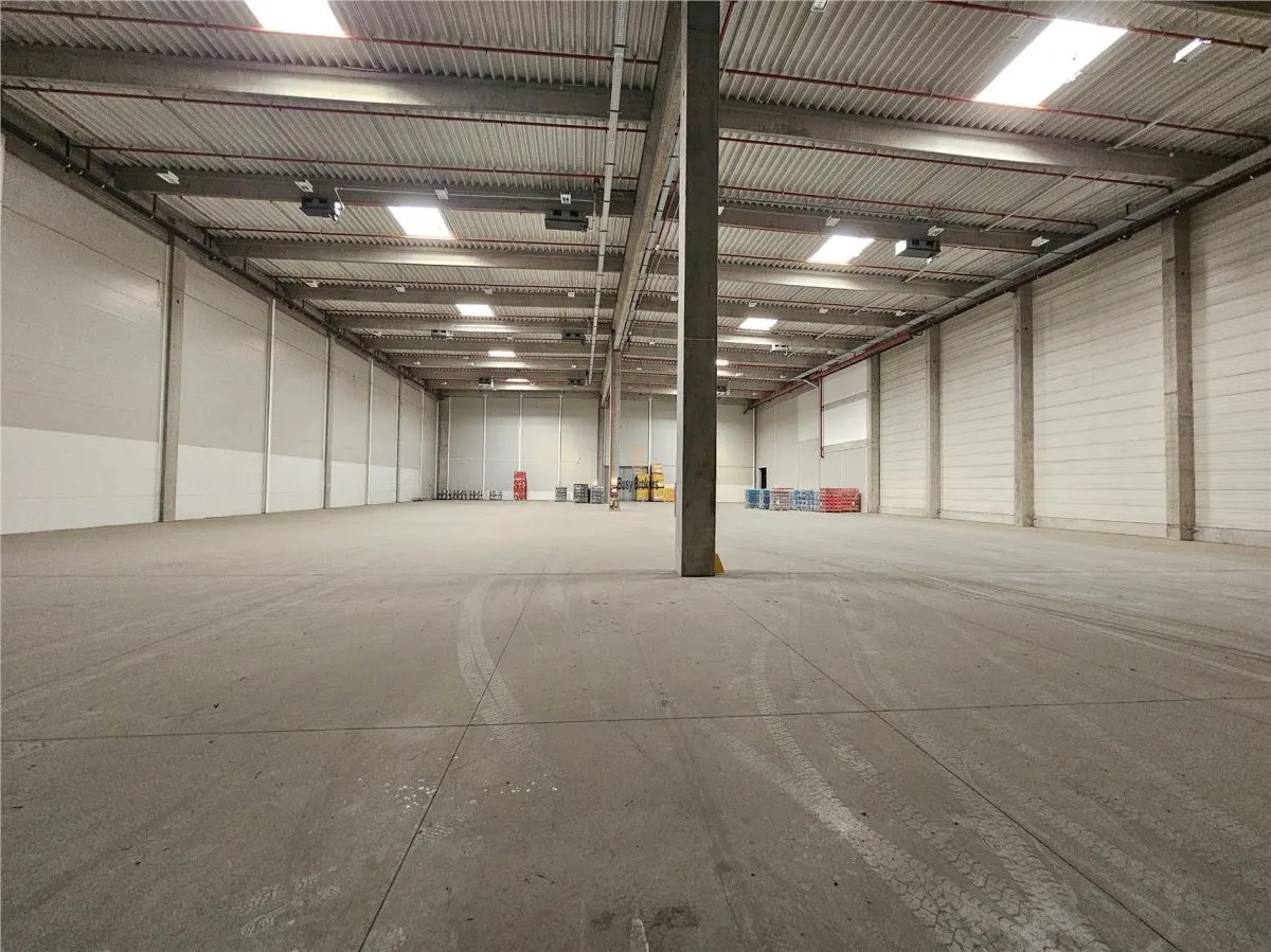 Spatiu Industrial - 2500 mp - Logistica - Productie - Depozitare - Distributie - foto 2