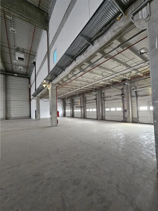Spatiu Industrial - 9100 mp - Logistica - Productie - Depozitare - Distributie - foto 11