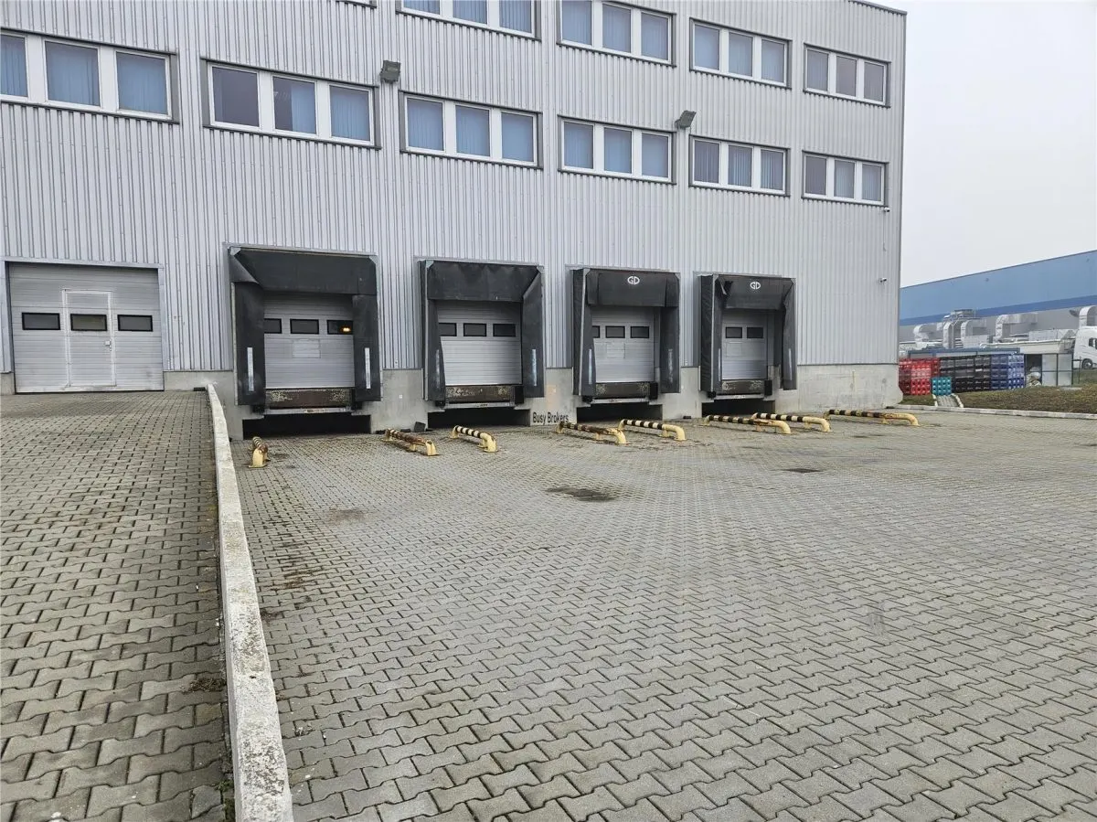 Spatiu Industrial - 9100 mp - Logistica - Productie - Depozitare - Distributie - foto 14