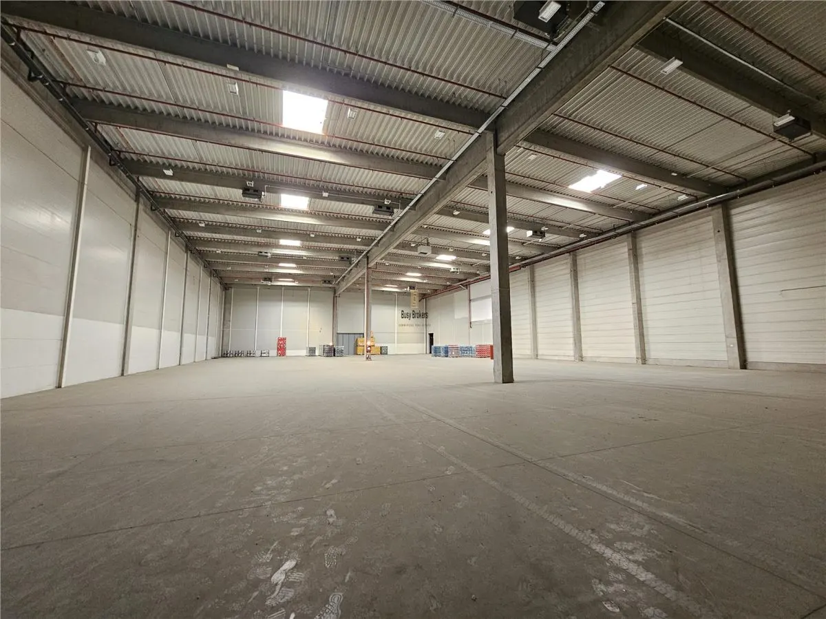 Spatiu Industrial - 9100 mp - Logistica - Productie - Depozitare - Distributie - foto 5