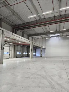 Spatiu Industrial - 10500 mp - Logistica - Productie - Depozitare - Distributie - foto 2