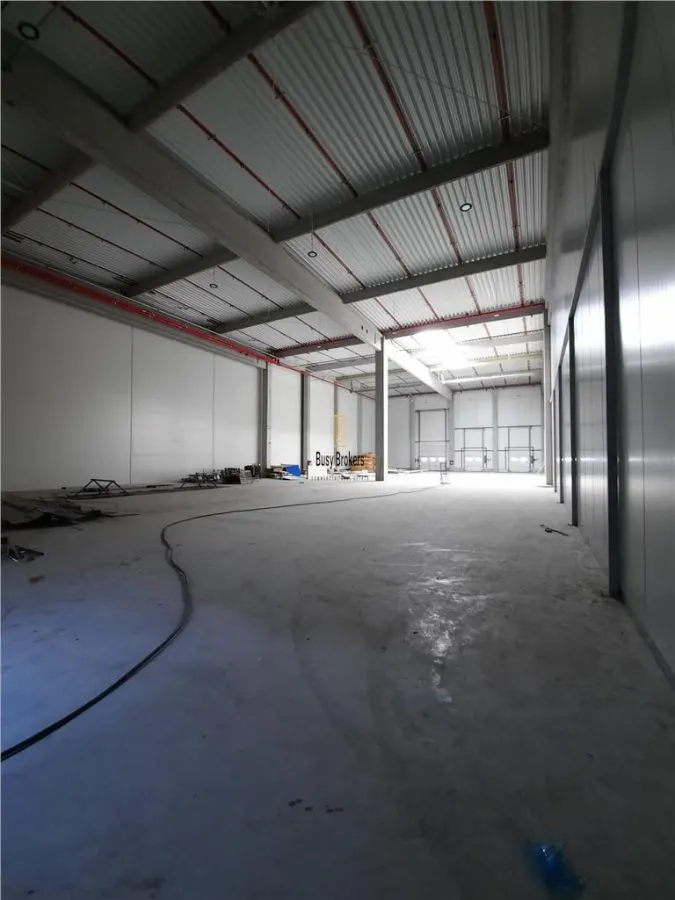 Spatiu Industrial - 10500 mp - Logistica - Productie - Depozitare - Distributie - foto 10