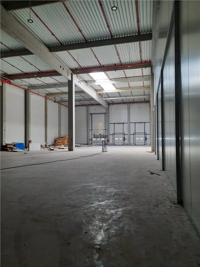Spatiu Industrial - 2500 mp - Logistica - Productie - Depozitare - foto 15