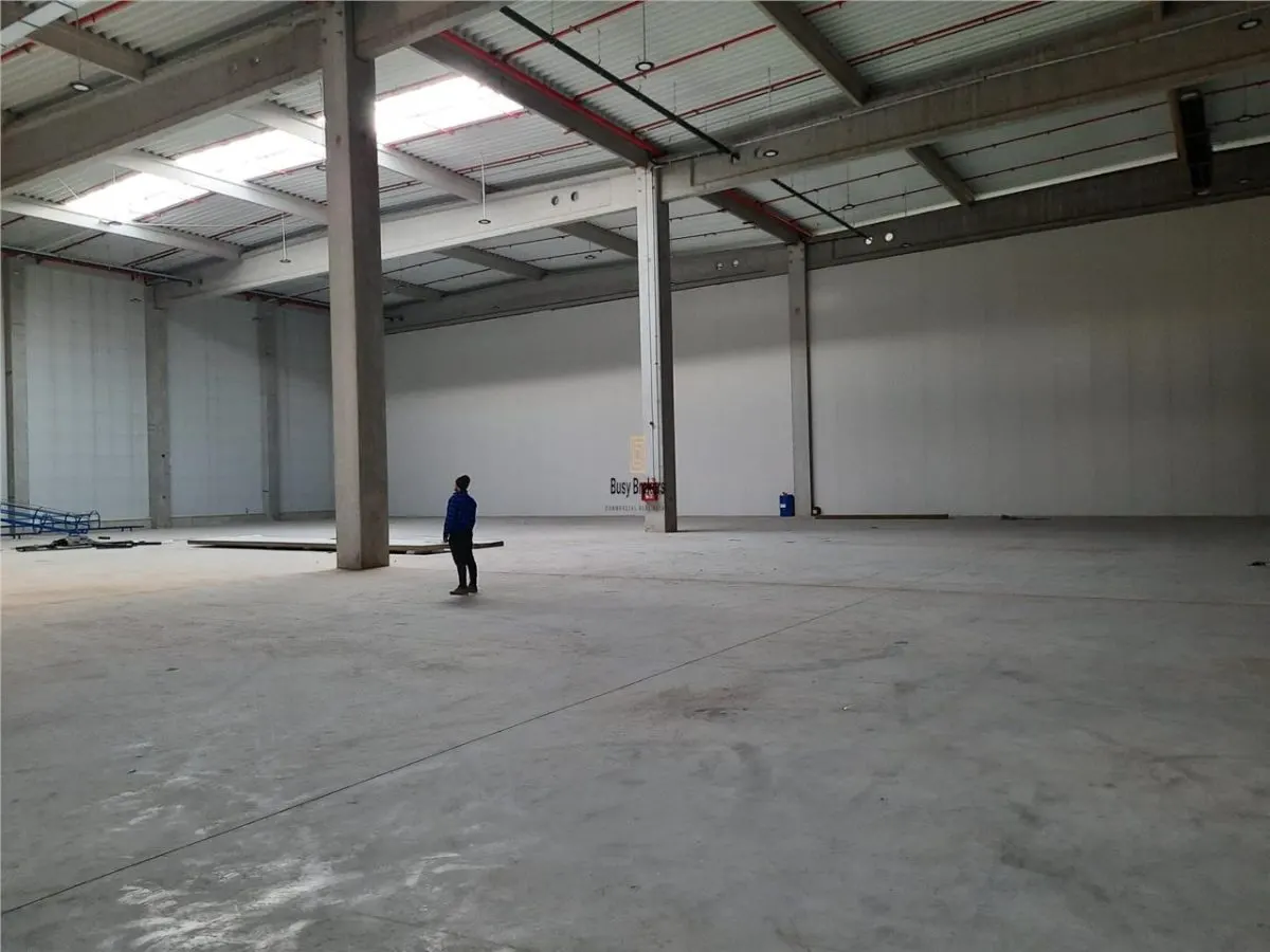 Spatiu Industrial - 2500 mp - Logistica - Productie - Depozitare - foto 19