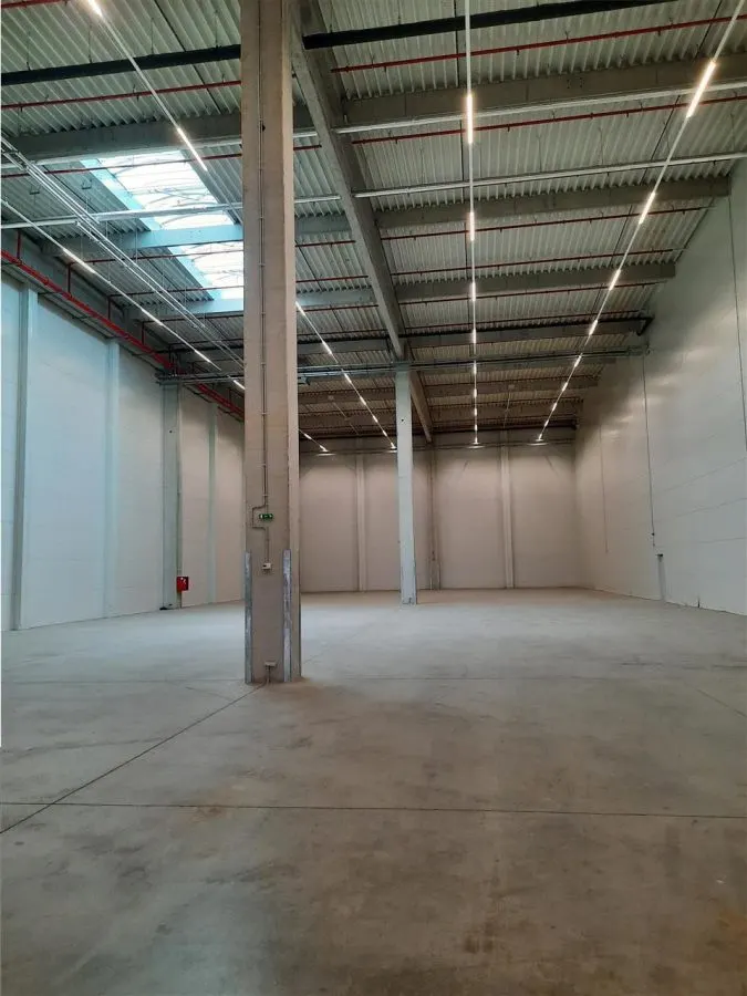 Spatiu Industrial - 2500 mp - Logistica - Productie - Depozitare - foto 6