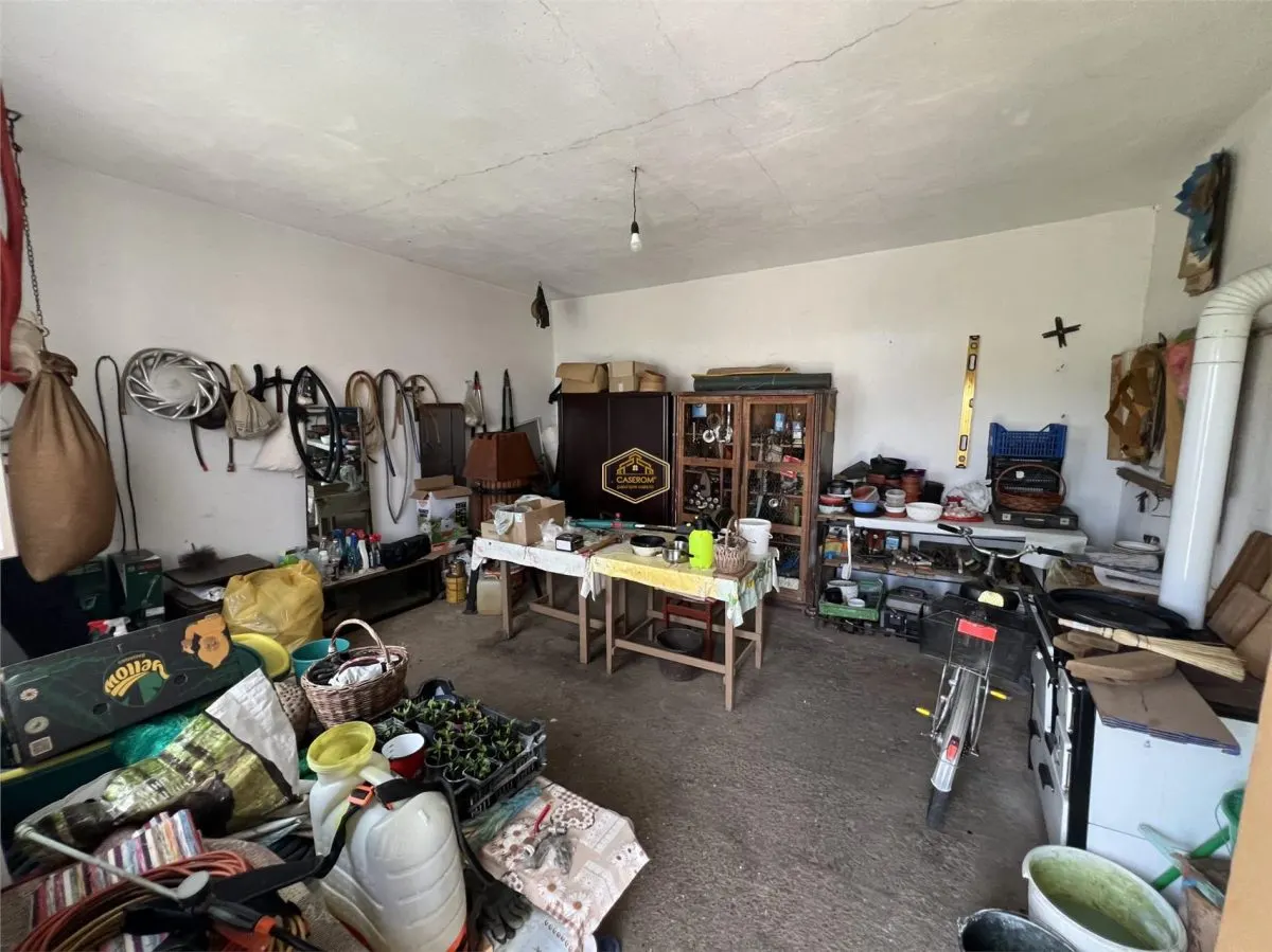Casă spațioasă cu teren generos de 1.656 mp, într-o zonă liniștită din orașul Livada - foto 20