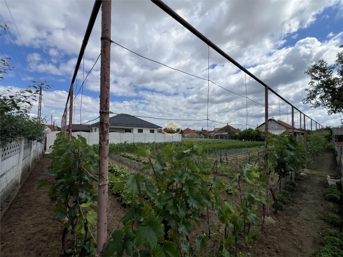 Casă spațioasă cu teren generos de 1.656 mp, într-o zonă liniștită din orașul Livada - foto 25