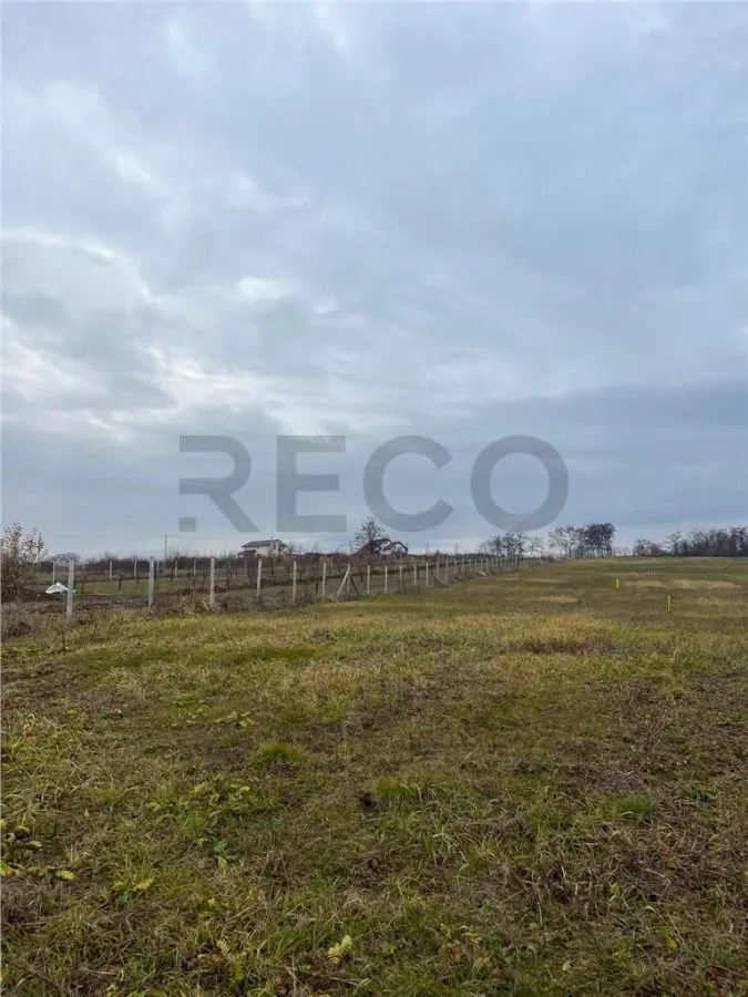 RECO Teren intravilan cu PUZ, la 4 minute de oras ,720 mp,Paleu - foto 2