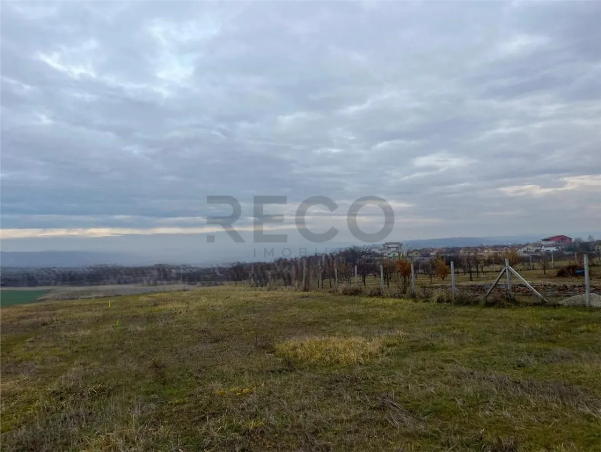RECO Teren intravilan cu PUZ, la 4 minute de oras ,720 mp,Paleu - foto 4