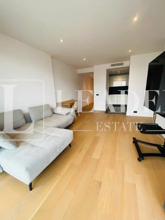 Inchiriere apartament I Herastrau - foto 3