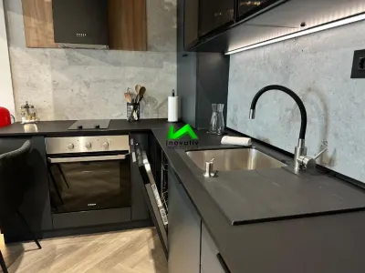 Apartament de inchiriat 2 camere Sibiu The Lake Home - foto 3