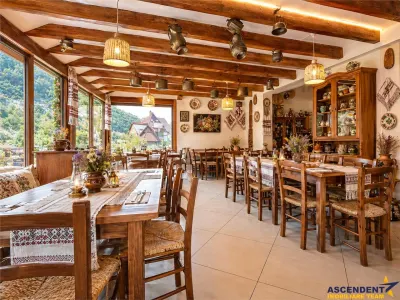 Langa Castelul Bran: Pensiune + restaurant + transfer afacere activa - Brasov