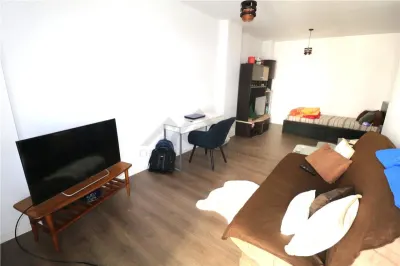 Apartament cu 1 camera ,Campeador Residence, zona Torontalului - foto 3