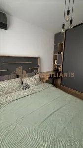 Apartament 2 camere, zona Marul de Aur, de inchiriat - foto 8