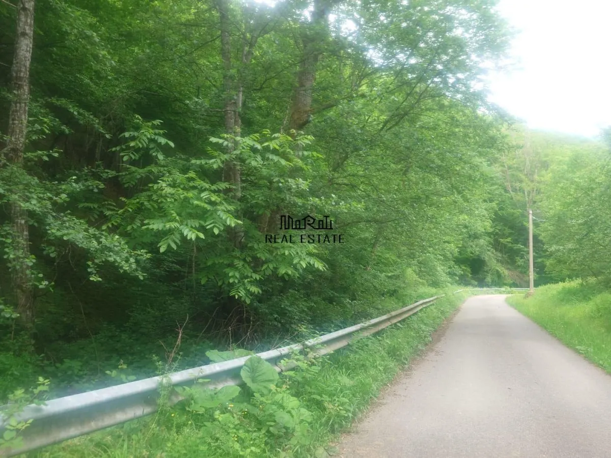Teren in Bulzestii de Sus 9757mp - foto 1