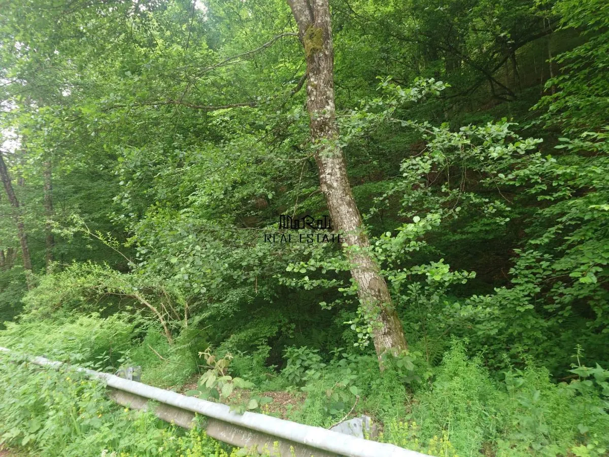 Teren in Bulzestii de Sus 9757mp - foto 2