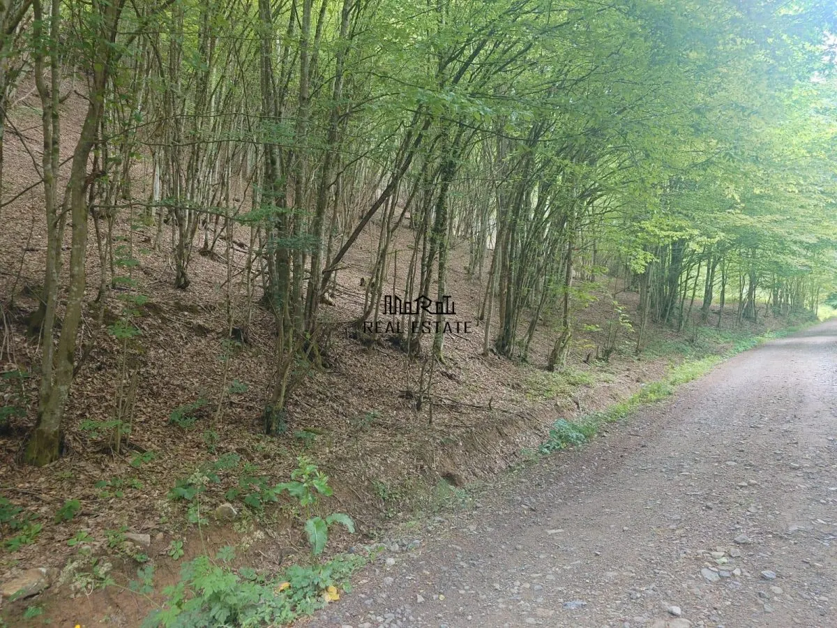 Teren in Bulzestii de Sus 3700mp - foto 1