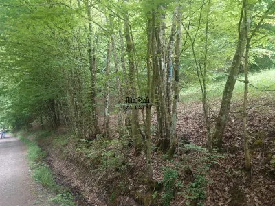 Teren in Bulzestii de Sus 3700mp - foto 2