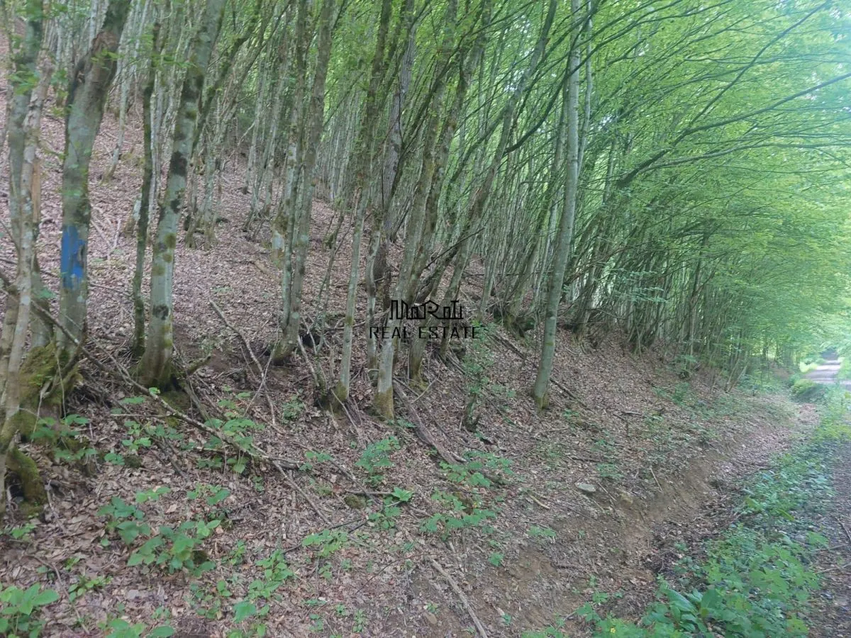 Teren in Bulzestii de Sus 3700mp - foto 3