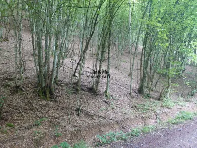 Teren in Bulzestii de Sus 3700mp - foto 4