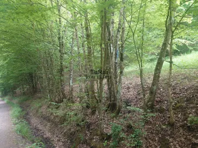Teren in Bulzestii de Sus 3700mp - foto 6