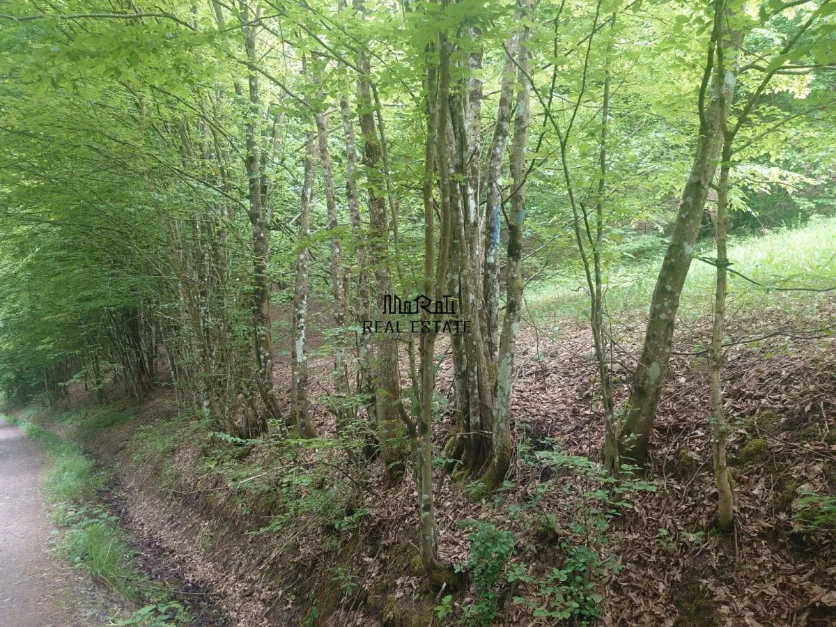 Teren in Bulzestii de Sus 3700mp - foto 6