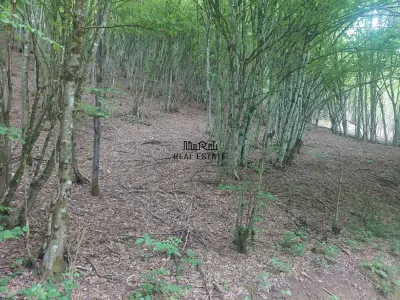 Teren in Bulzestii de Sus 710mp - Bulzestii de Sus