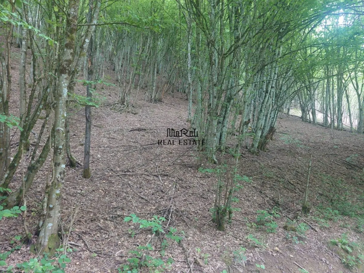 Teren in Bulzestii de Sus 3748mp - foto 2