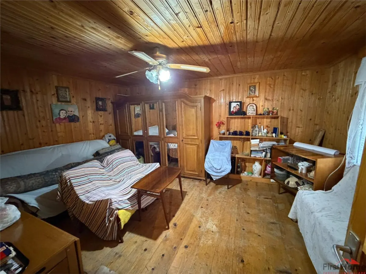 Casa P+1 de vanzare in Vanatori - foto 10