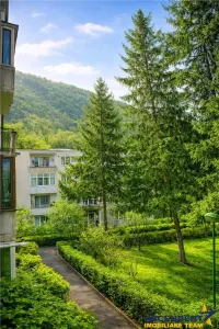 Apartament 2 camere,luminos,incadrat de liniste si verdele naturii,Ultracentral,Brasov - Brasov