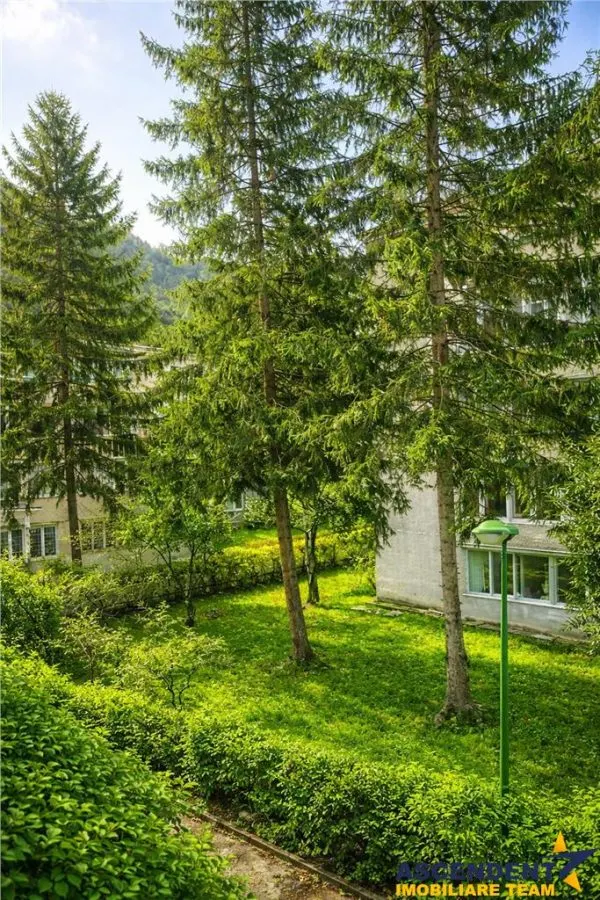 Apartament 2 camere,luminos,incadrat de liniste si verdele naturii,Ultracentral,Brasov - foto 5