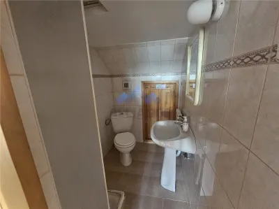 Vila nemobilata, spatioasa, Popas Pacurari - foto 15