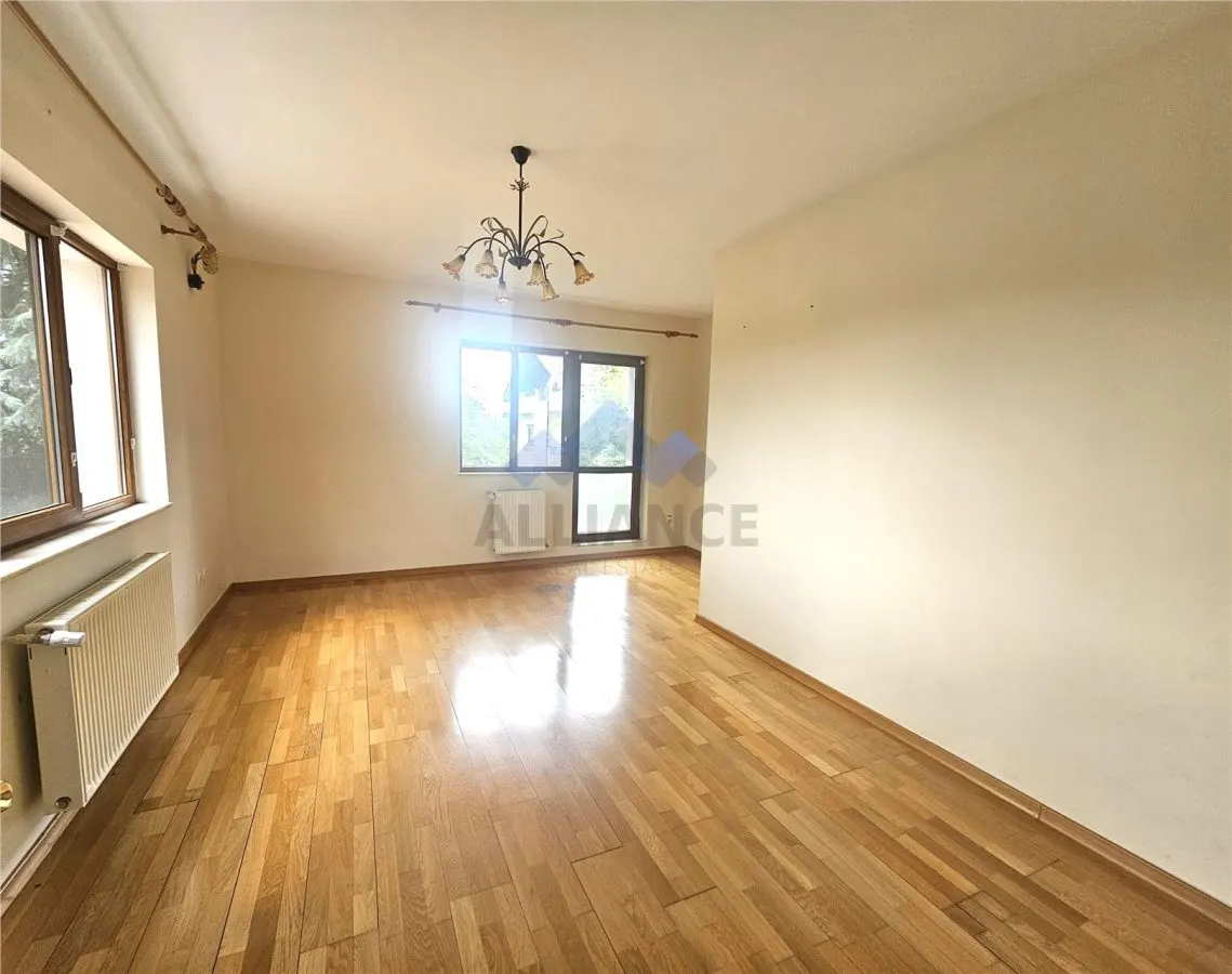 Vila nemobilata, spatioasa, Popas Pacurari - foto 10