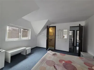 Casa tip pensiune, P+1E+M,9 camere,Baile ! Mai,Sanmartin;Bihor - foto 9
