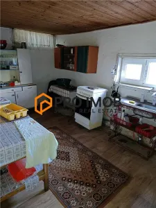 Casa tip parter zona Vadu Pasii - foto 9