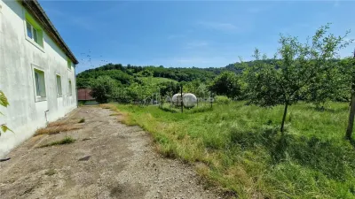 Farliug Casa sau Afacere 125 000 euro - foto 2