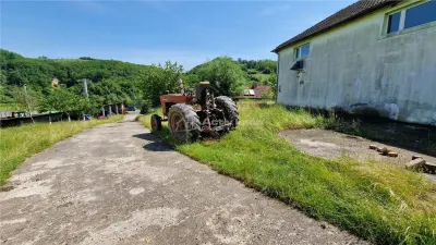 Farliug Casa sau Afacere 125 000 euro - foto 4