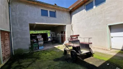 Farliug Casa sau Afacere 125 000 euro - foto 6