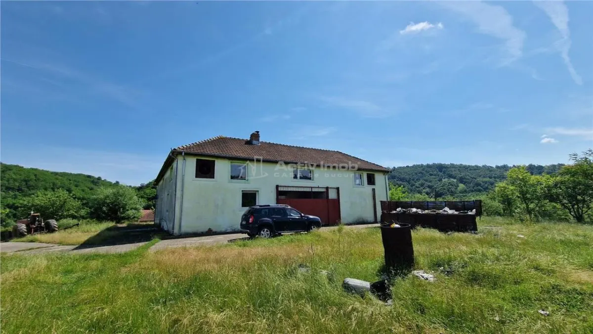 Farliug Casa sau Afacere 125 000 euro - foto 7