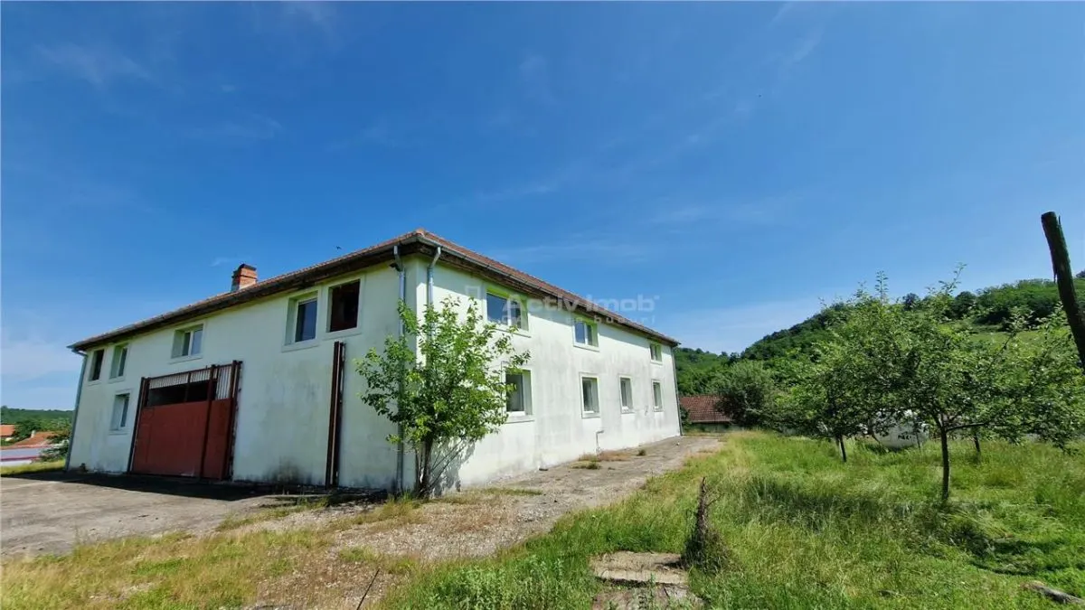 Farliug Casa sau Afacere 125 000 euro - foto 8