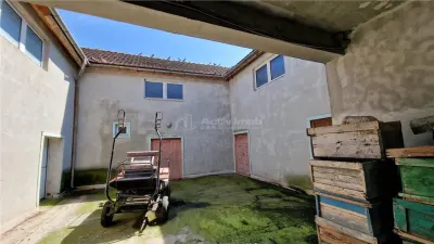 Farliug Casa sau Afacere 125 000 euro - foto 9
