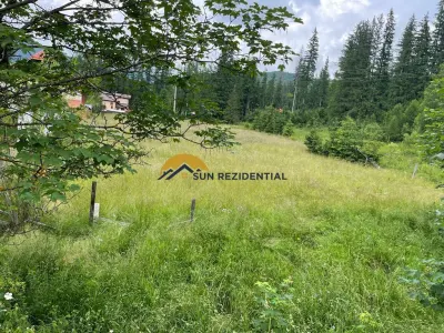 Teren pentru casa de vacanta/pensiune - Cheia - Maneciu - foto 5