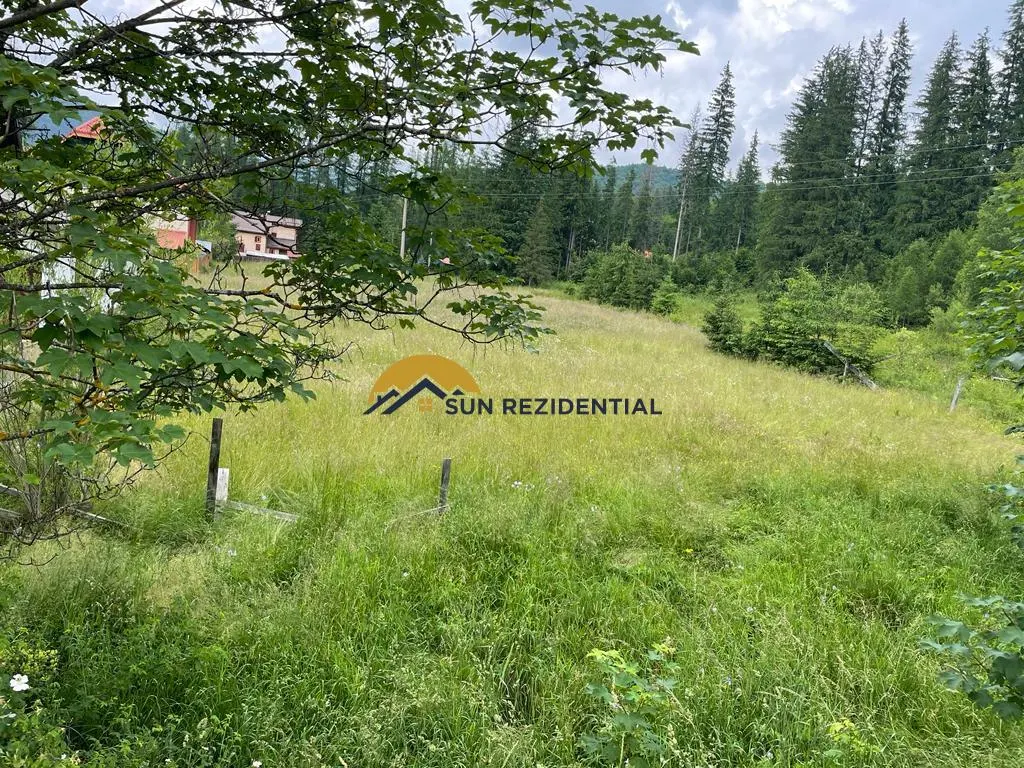 Teren pentru casa de vacanta/pensiune - Cheia - Maneciu - foto 5