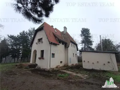 Super afacere pentru investitori compusa din teren intravilan cat vezi cu ochii plus cladiri si anexe cu istoric din perioada interbelica. - foto 3