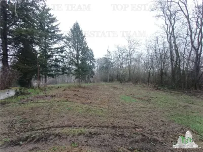 Super afacere pentru investitori compusa din teren intravilan cat vezi cu ochii plus cladiri si anexe cu istoric din perioada interbelica. - foto 25
