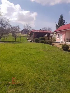 Casa de vanzare, Voiniceni, 10 arii, pivnita, 2 bucatarii, spre Unirii, Mures - foto 9