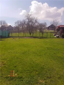 Casa de vanzare, Voiniceni, 10 arii, pivnita, 2 bucatarii, spre Unirii, Mures - foto 10