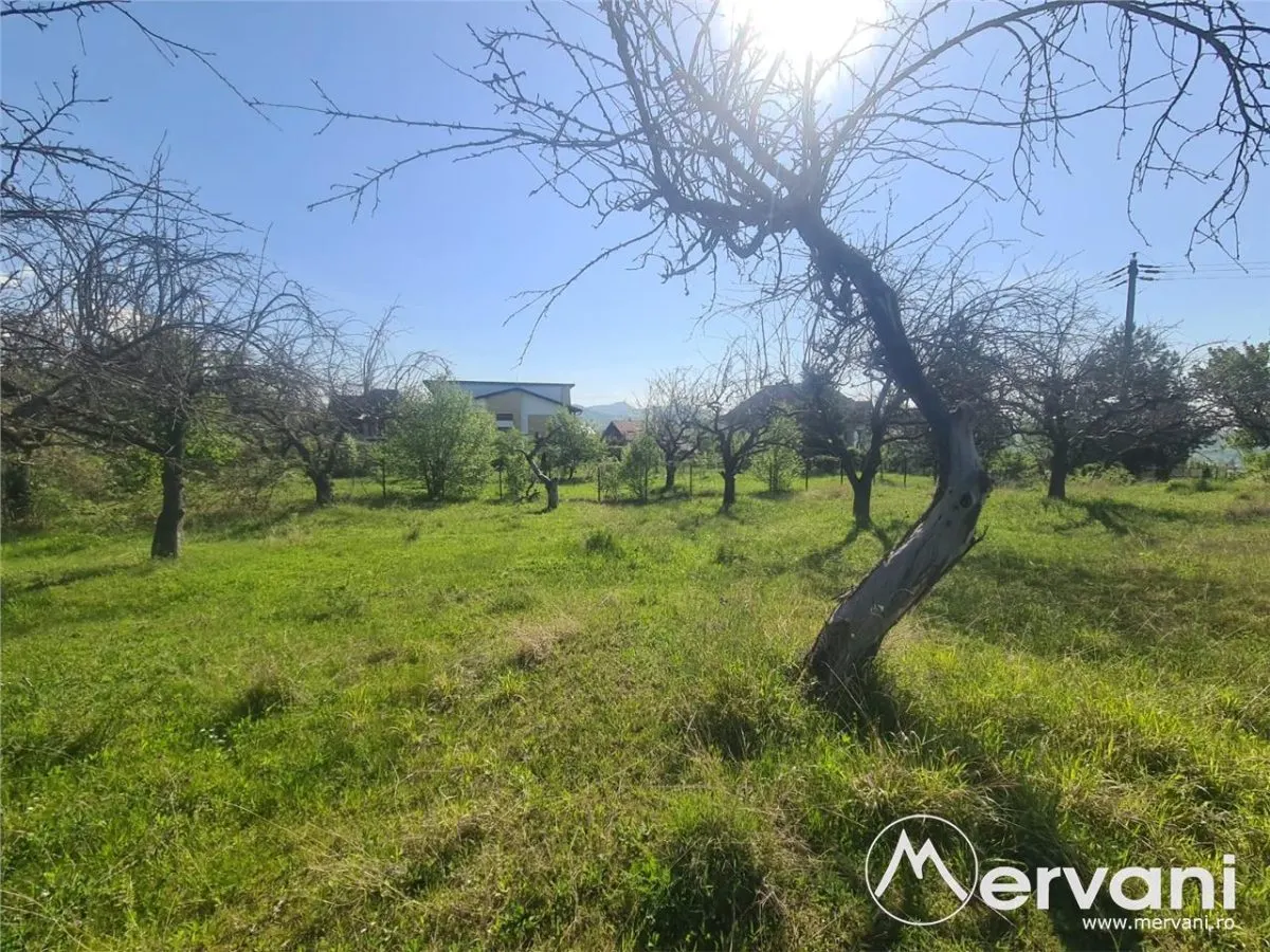 Teren de vanzare in Campina - foto 4