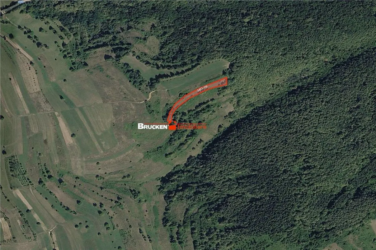 Portofoliu funciar de peste 10 hectare | Izbuc - Carpinet | Jud. Bihor - foto 2